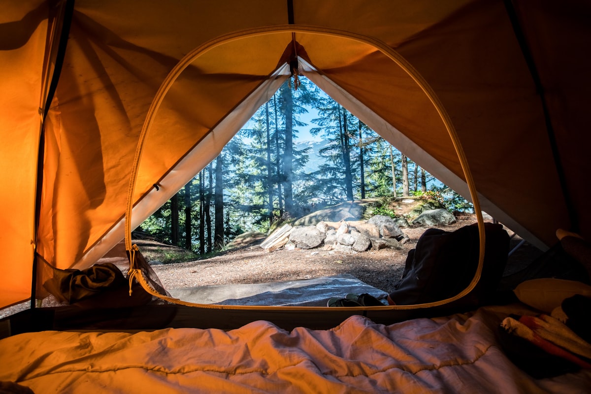 Tent set up in a forest clearing at sunset